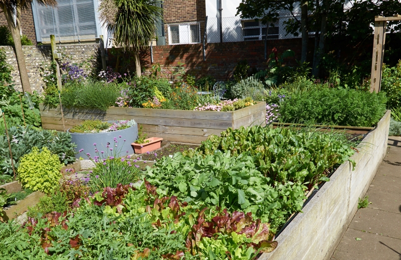 Seaford Community Garden